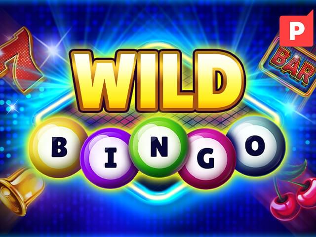9080bet Bingo Selvagem